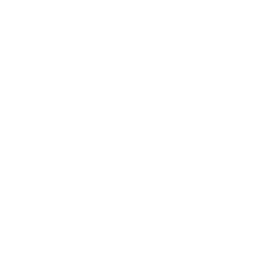 LOUD PLUG