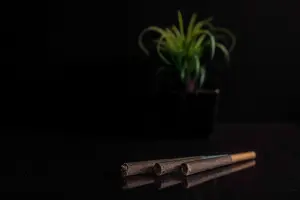 preroll