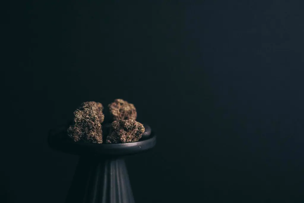 Cannabis flower buds photographed against a dark studio background