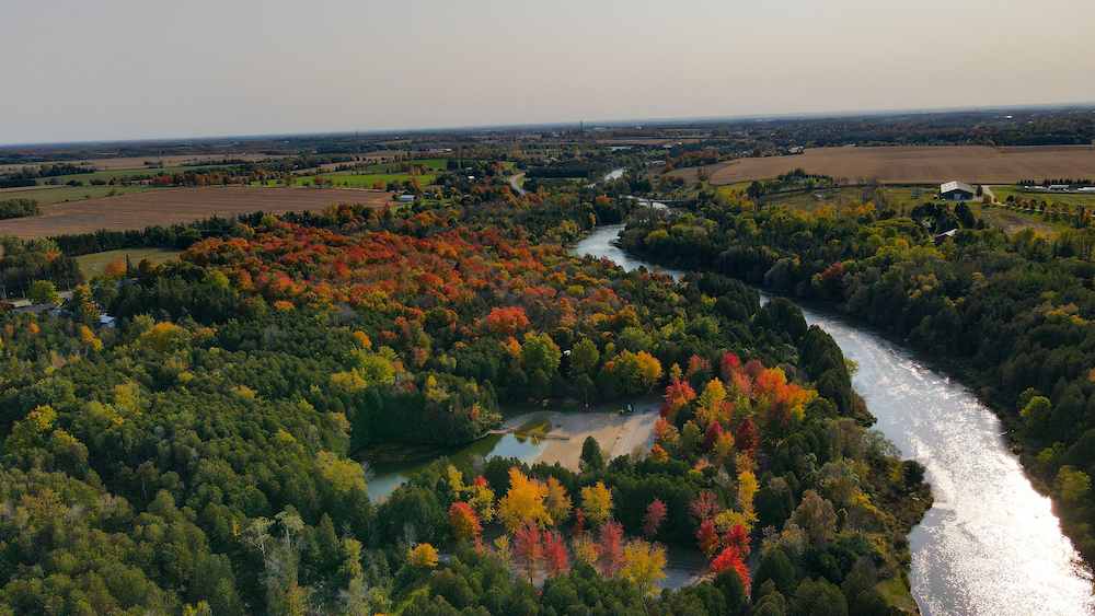 Aerial view of river through autumn forest