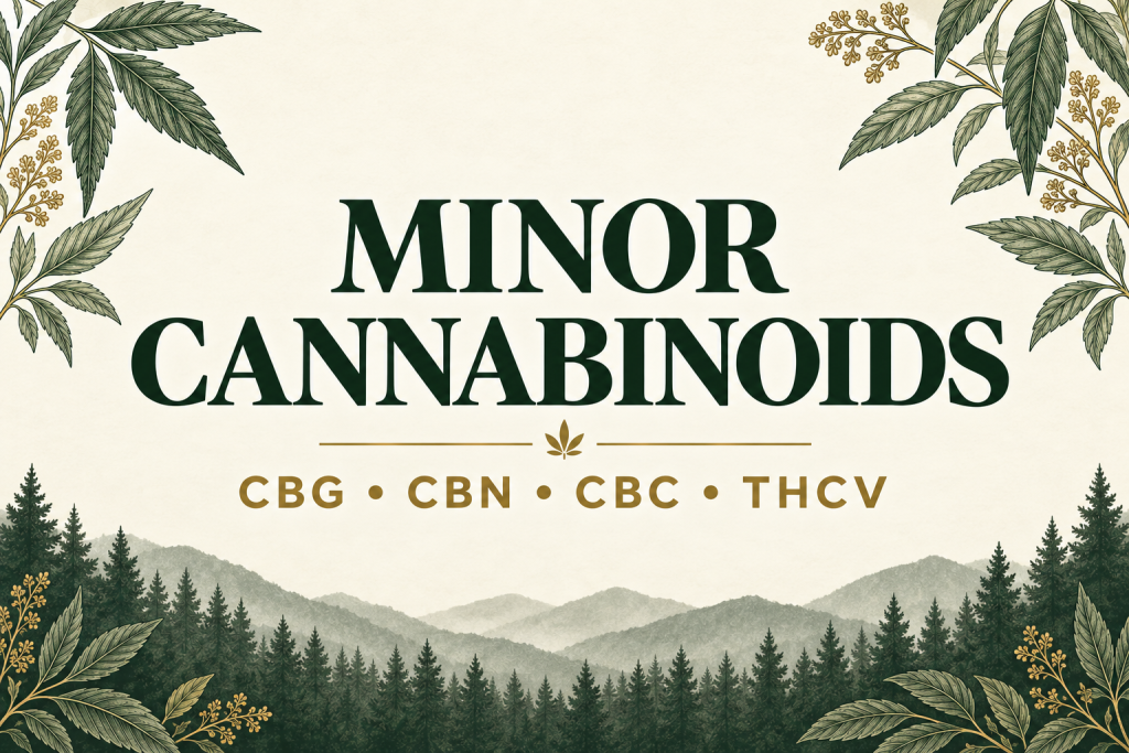 Minor cannabinoids: CBG, CBN, CBC and THCV, with botanical illustrations.